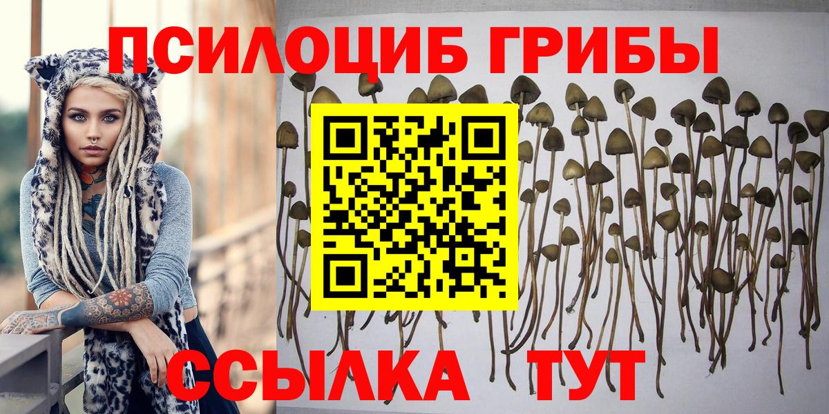 Галлюциногенные грибы прущие грибы  Вход с VPN  Кохма 