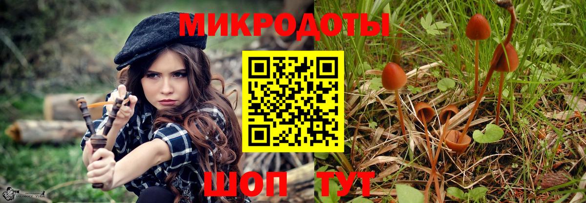 Галлюциногенные грибы мухоморы Кохма